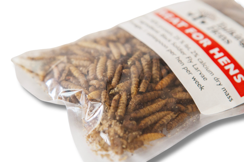 Package of insect larvae with a visible brand label on a white background