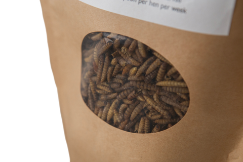 Brown paper bag with a window showing insect larvae  (chicken treats) inside, on a white background.