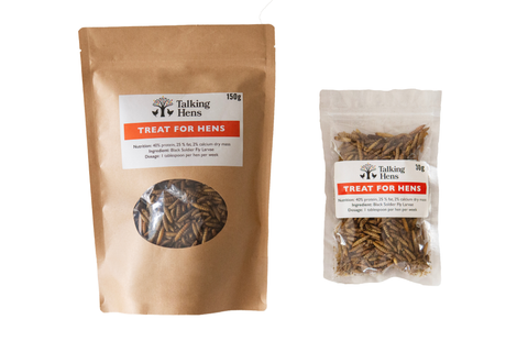 Two packages of 'Talking Hens' treat for hens on a white background