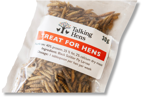Package of 'Talking Hens' treat for hens with visible label and insect larvae inside.