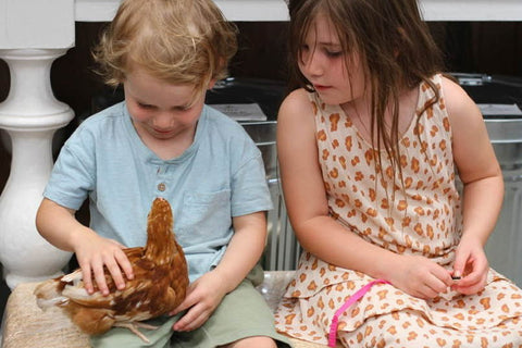 Peninsula families flocking to Talking hens