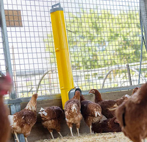 Chook Tower Feeder