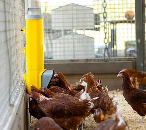 Chook Tower Feeder