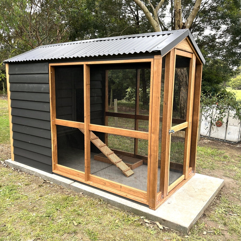 Talking Hens | Backyard Chickens, Coops & Quality Feed