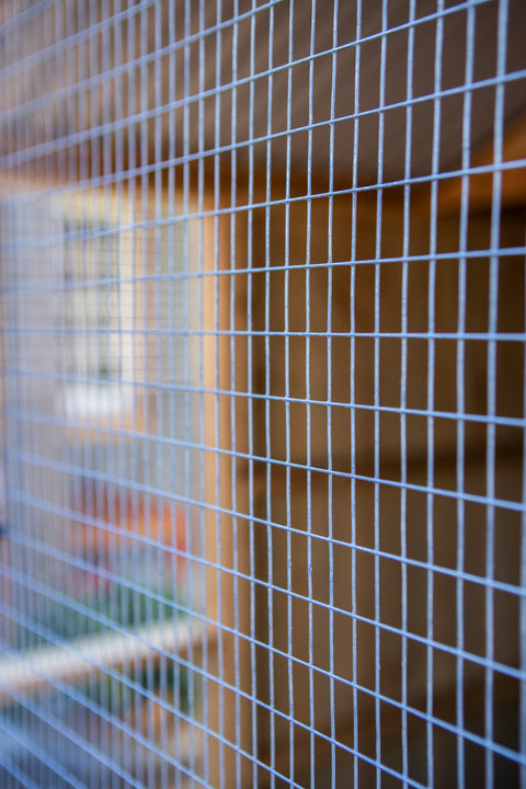 Deluxe Chicken Coop