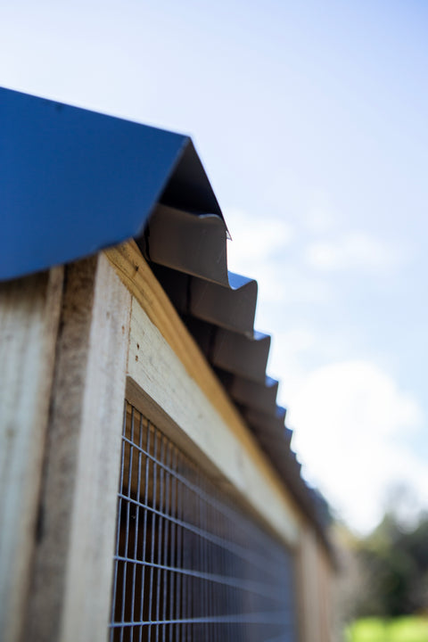 Deluxe Chicken Coop