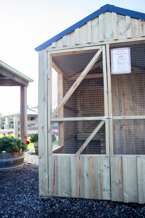 Deluxe Chicken Coop