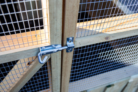 Deluxe Chicken Coop
