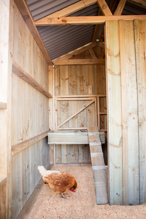 Deluxe Chicken Coop