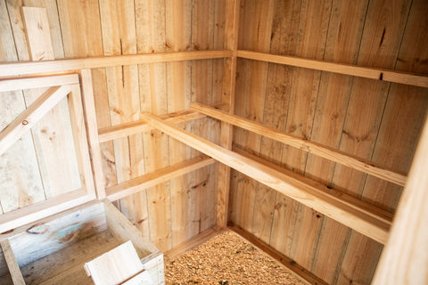 Deluxe Chicken Coop