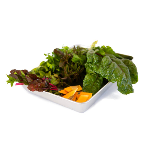 Rectangle Scrap Tray